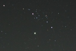 �P�P���R���̃z�[���Y�a��