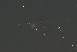 �P�P���Q�P���̃z�[���Y�a��