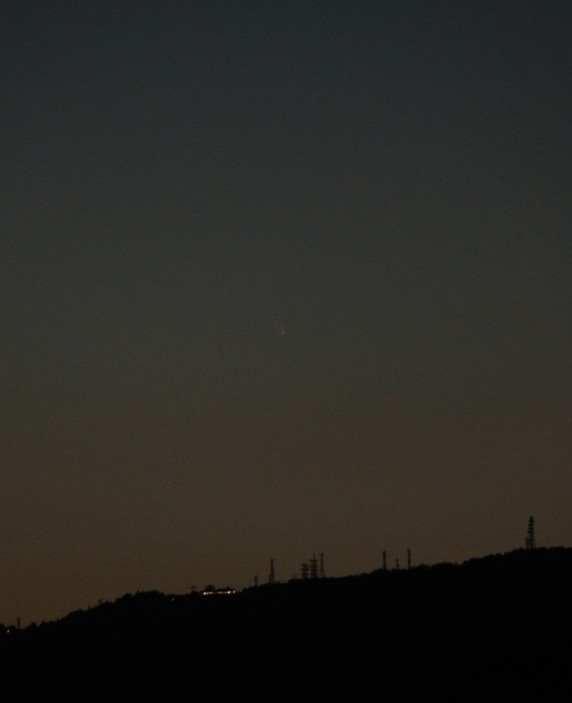 �p���X�^�[�Y�a���̎ʐ^