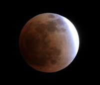 �H��0.92�̎ʐ^