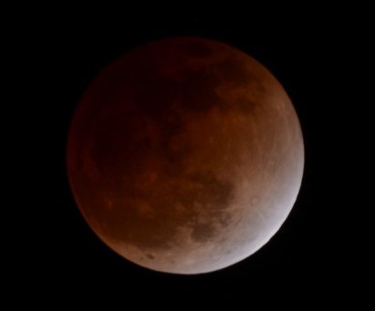 �H��0.92�̎ʐ^