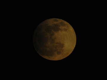 �S���Q�S���̔��e���H