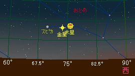 �X���R���̋����Ɩؐ�