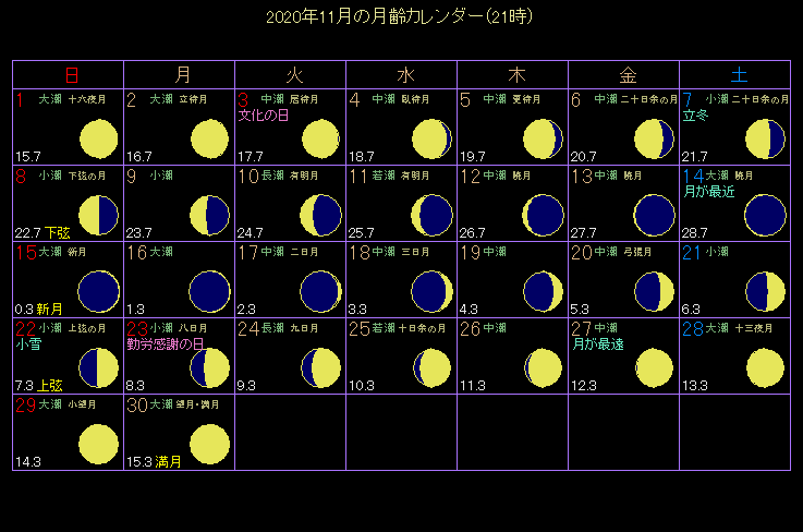 2020�N11���̌���J�����_�[