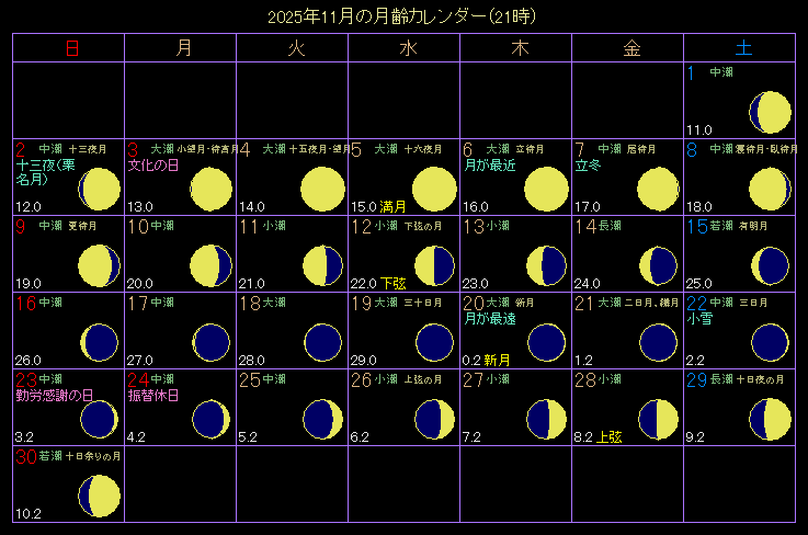2025�N11���̌���J�����_�[