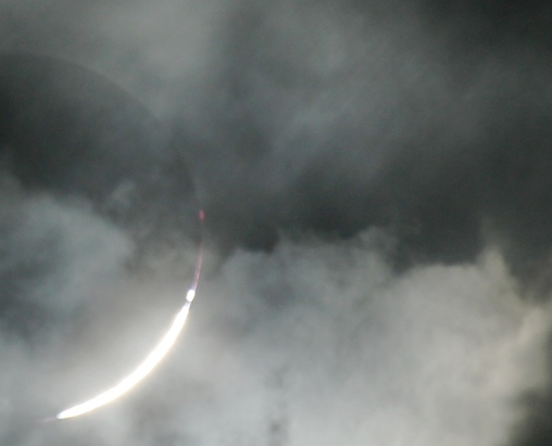 �ʐ^�E��ɔ�������ƃX�W���ʂ��Ă���悤�Ɍ�����B�V��̃V���h�[�o���h�H