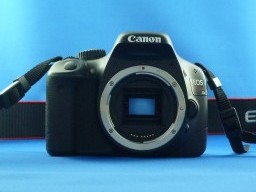 �f�W�^����჌�t�J�����@�{�f�B�̎ʐ^