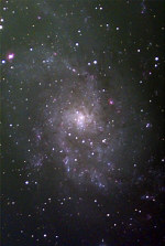 M33