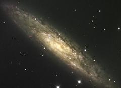 NGC253