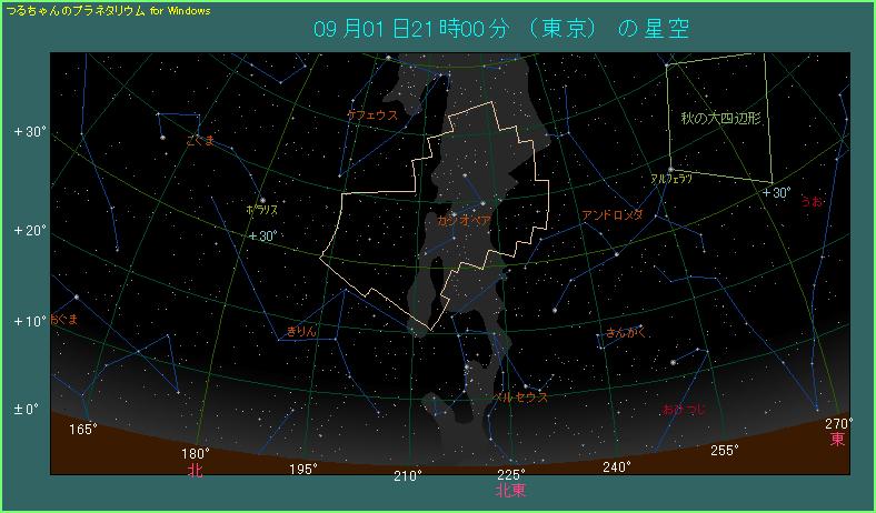 �J�V�I�y�A���̌�����