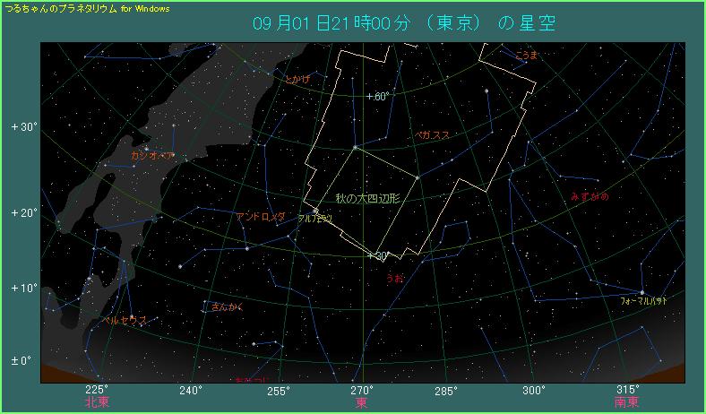 �y�K�X�X���̌�����