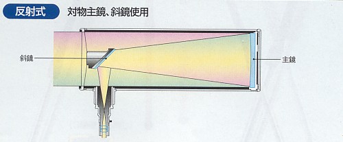 ���ˎ��]����