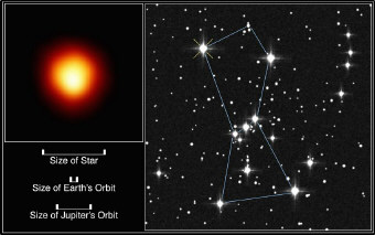 �g�r�s�ɂ��x�e���M�E�X